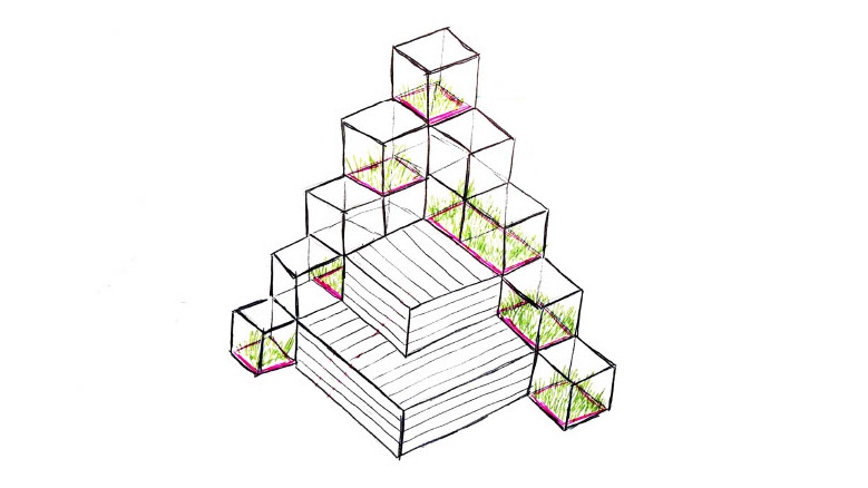 croquis d'une structure composée de cube et de plantes avec une estrade